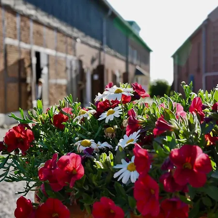 Lejlighed Knusthof Lafrenz - Nordlicht *